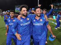 的愛好者 的愛好者